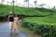 Tea and coffee tour in india