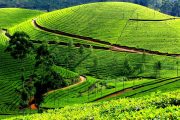 Tea Tour in india