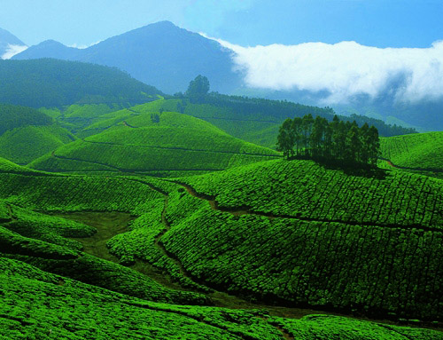 rambling kerala